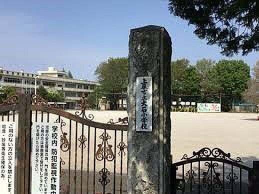 小学校 780m 上尾市立大石小学校