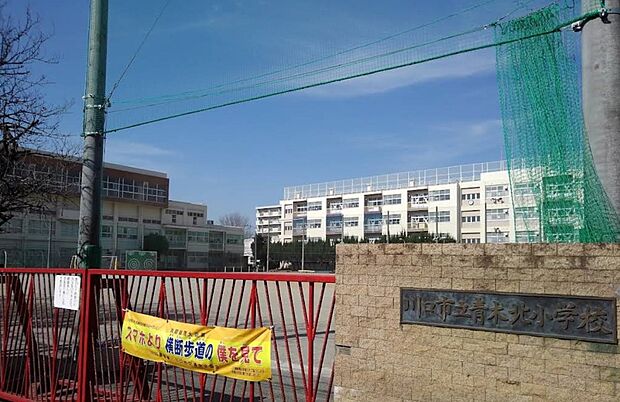 小学校 174m 青木北小学校