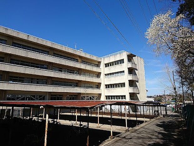中学校 950m さいたま市立城北中学校(さいたま市立城北中学校 徒歩13分)