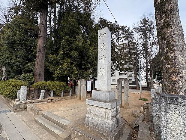 その他環境写真 70m 加茂神社(加茂神社　徒歩1分)