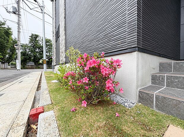 【庭】玄関前に植木を植えました。