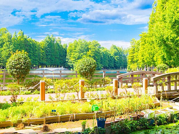 公園 200m 別所沼公園(別所沼公園　徒歩3分)