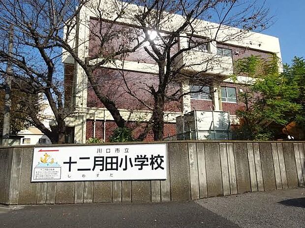 その他環境写真 700m 十二月田小学校