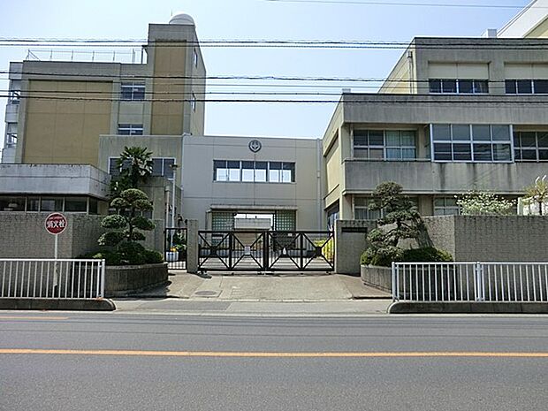 小学校 150m 川口市立戸塚東小学校