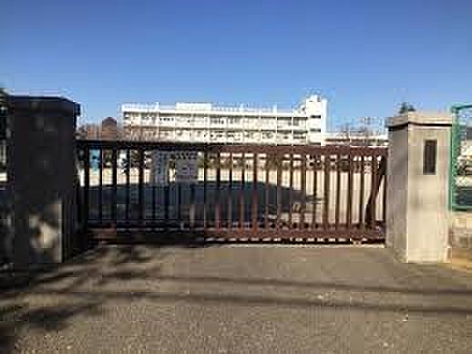 小学校 483m さいたま市立与野本町小学校