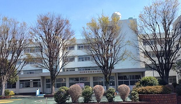 小学校 880m 東領家小学校