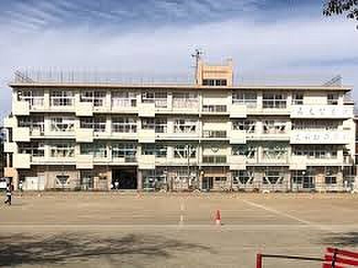 小学校 516m さいたま市立原山小学校