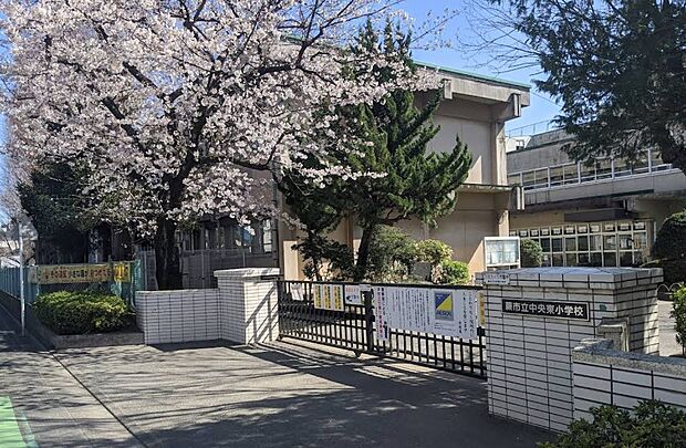 小学校 210m 蕨市立中央東小学校