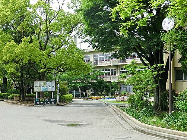 小学校 400m 桜町小学校