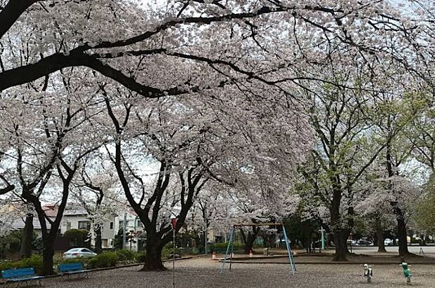 公園 700m 吉野公園