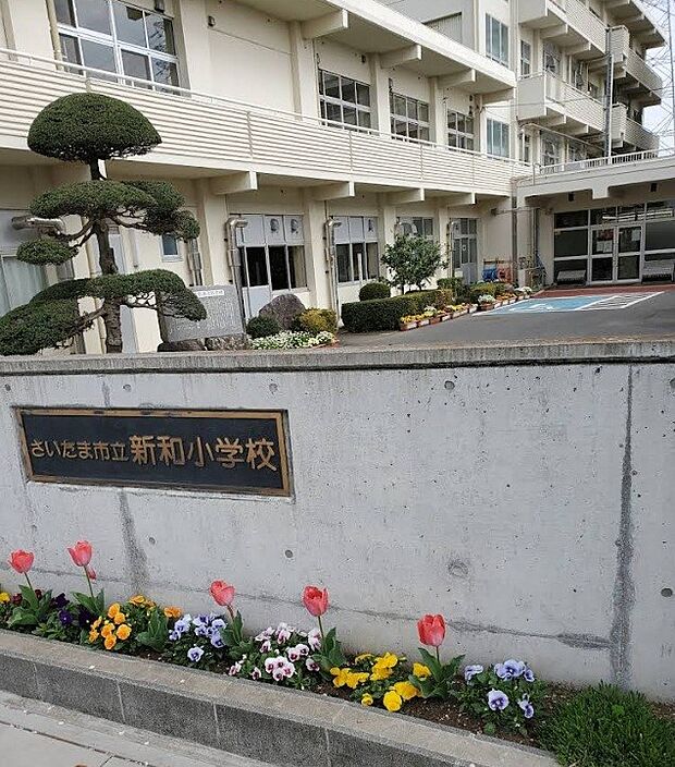 小学校 3000m さいたま市立大門小学校(許可校)(さいたま市立大門小学校(許可校)まで徒歩約38分)
