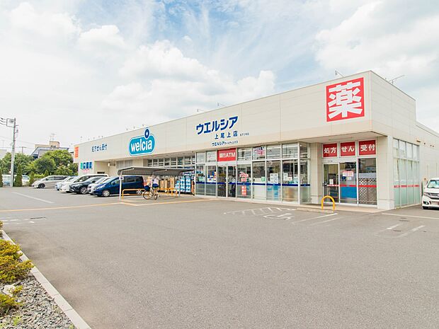 ドラッグストア 270m ウエルシア上尾上店