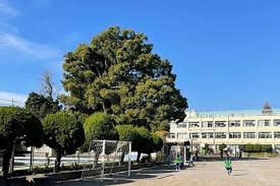 小学校 1000m 川口市立安行小学校