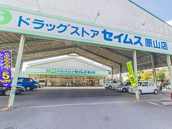 ドラッグストア 280m ドラッグストアセイムス原山店
