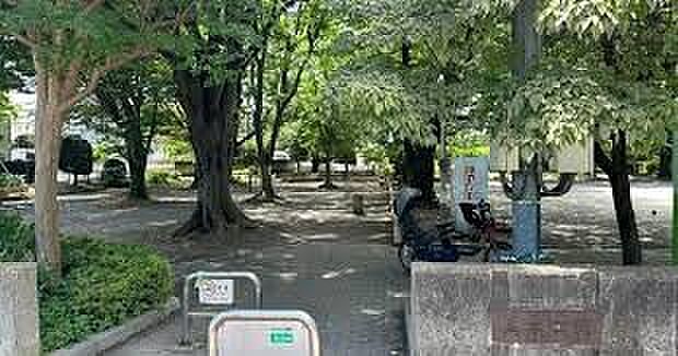 公園 450m 並木公園