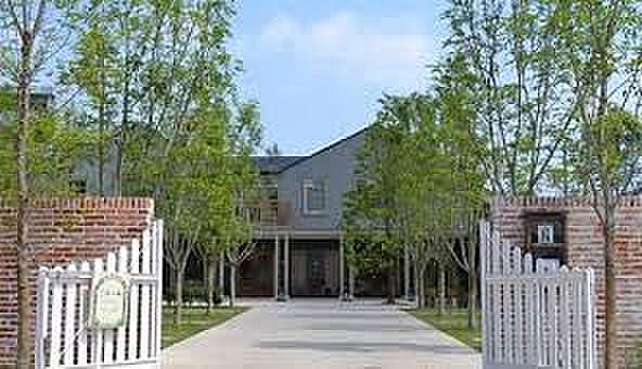 幼稚園・保育園 450m 三橋の森保育園