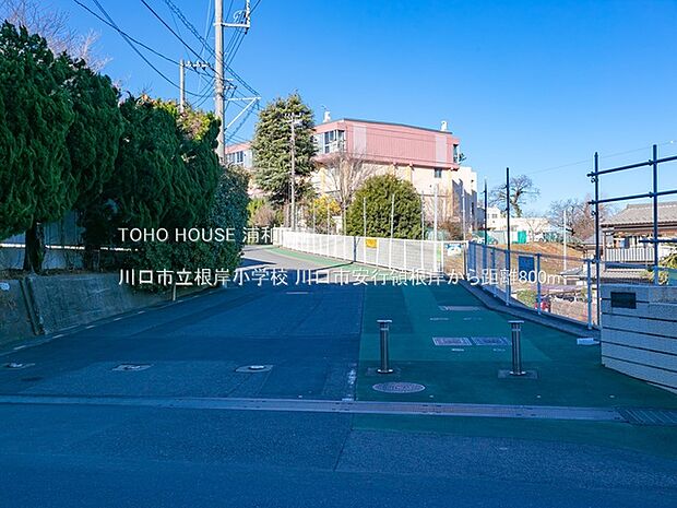 小学校 800m 川口市根岸小学校