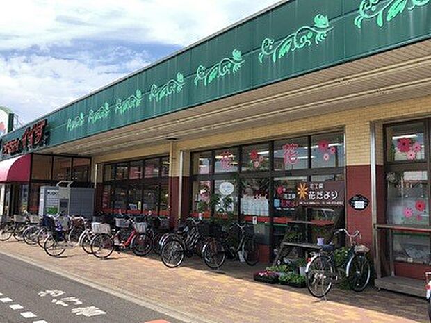 スーパー 750m コモディイイダ芝原店