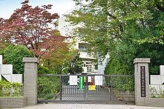 中学校 1300m さいたま市立木崎中学校(さいたま市立木崎中学校 徒歩17分)