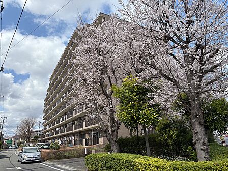 こちらの物件が少しでも気になるようでしたら、お気軽にお問合せください。人生でいちばん大きなお買い物ですので、ゆっくりご見学ください。ネット上の画像と実際の見学では、リアル感がまるで違います。…
