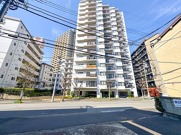 【前面道路】家の前をまっすぐの通りが走っている。クルマは少なく、人々は毎朝、ウォーキング、ジョギング、犬の散歩など、フリーな朝時間を過ごしている。