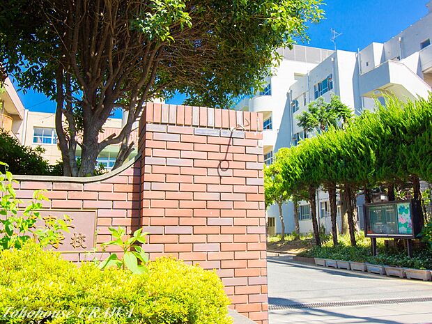 小学校 300m 大谷場小学校(大谷場小学校　徒歩4分)