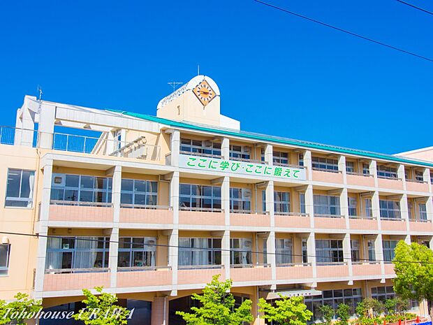 中学校 600m 大谷場中学校(大谷場中学校 徒歩8分)