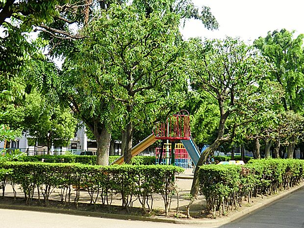 公園 697m 中青木公園