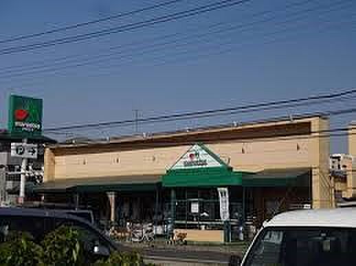 その他環境写真 774m マルエツ上青木店