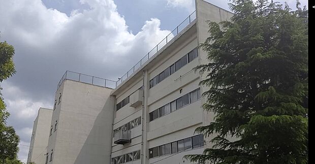中学校 1000m 蕨市立第一中学校