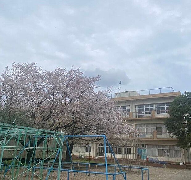 小学校 350m 蕨市立南小学校