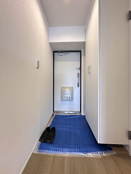 【シューズボックス（下駄箱）】  大型のシューズボックスには靴やブーツ、サンダルはもちろん、ハンカチや手袋、バック類などのお出かけ用品、印鑑や朱肉なども収納可能です。