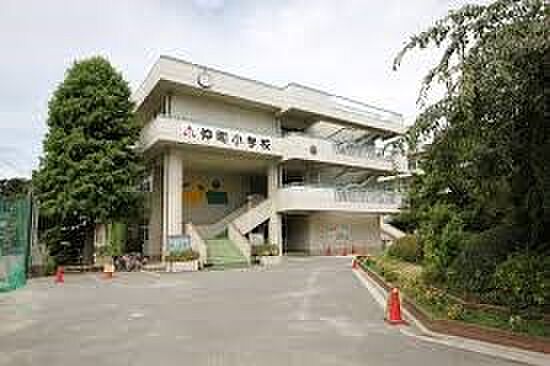 小学校 884m さいたま市立仲町小学校