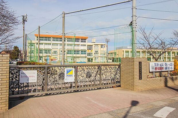 小学校 530m 前川小学校(【前川小学校】 徒歩7分)