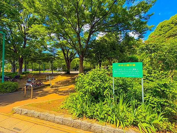 公園 170m 与野中央公園(与野中央公園　徒歩3分)