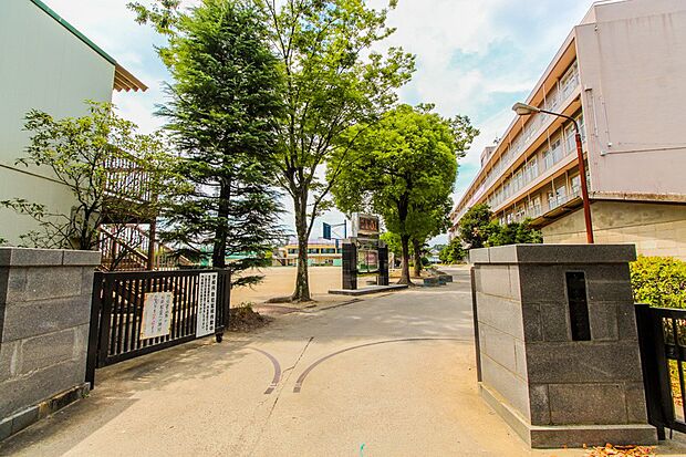 中学校 496m 大石中学校