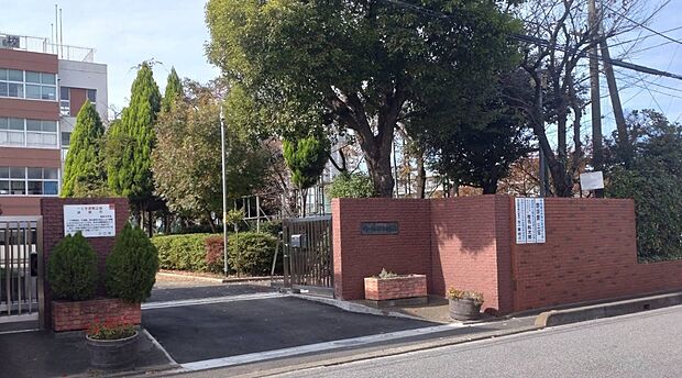 中学校 500m 川口市立領家中学校