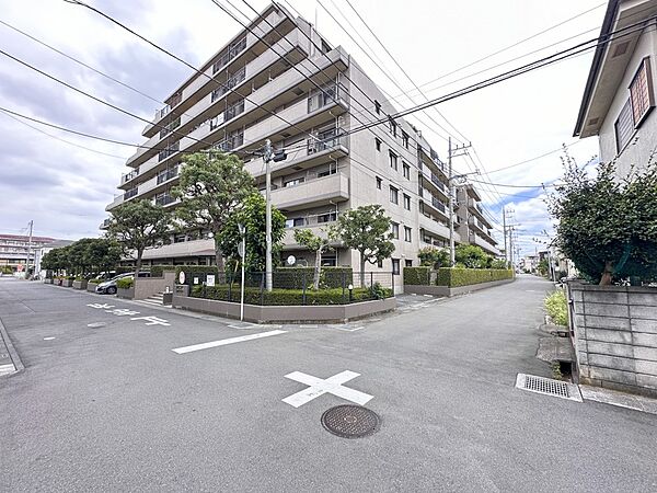 【前面道路】家の前をまっすぐの通りが走っている。クルマは少なく、人々は毎朝、ウォーキング、ジョギング、犬の散歩など、フリーな朝時間を過ごしている。