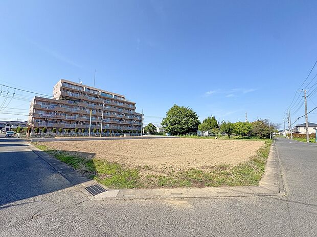 【前面道路】家の前をまっすぐの通りが走っている。クルマは少なく、人々は毎朝、ウォーキング、ジョギング、犬の散歩など、フリーな朝時間を過ごしている。