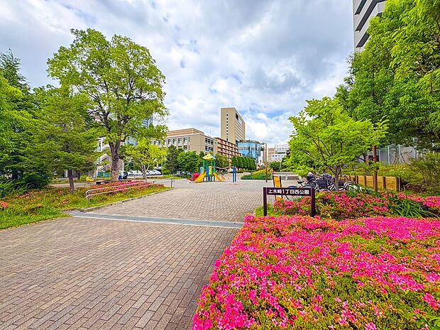 その他環境写真 350m 上木崎一丁目西公園(「上木崎一丁目西公園」 徒歩5分)