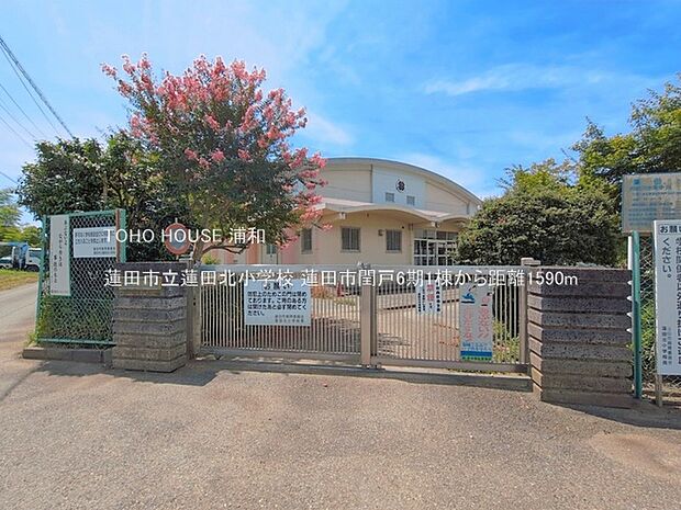 蓮田市立蓮田北小学校()