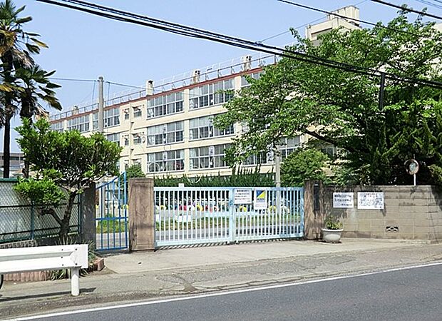 小学校 270m 川口市立上青木小学校