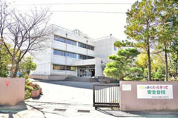 小学校 900m 大相模小学校