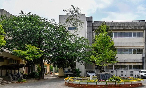 中学校 1500m 蓮田市立黒浜中学校