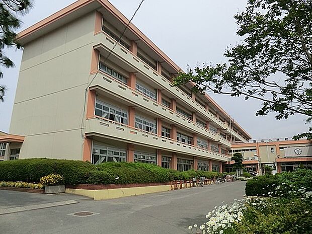 小学校 500m 蓮沼小学校