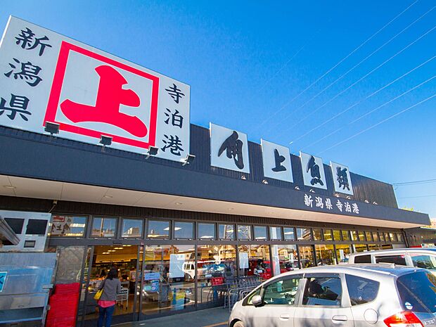 スーパー 650m 角上魚類川口店