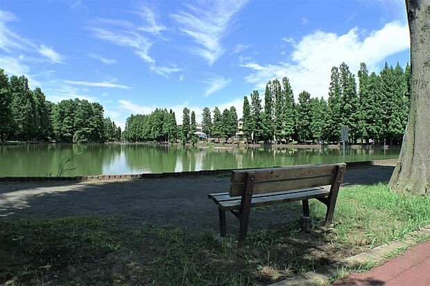公園 700m 別所沼公園(ジョギングコースや多目的広場、子供の遊具や多目的広場のある 約8万平方メートルの大型市営公園。季節の景色、自然豊かな環境)