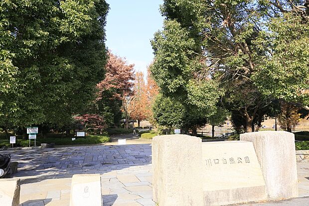 公園 500m 川口自然公園