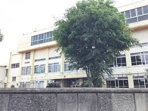 小学校 156m 川口市立十二月田小学校