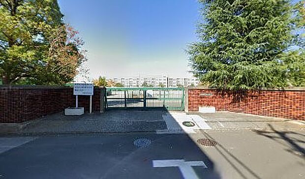 中学校 500m 川口市立芝東中学校(川口市立芝東中学校　徒歩7分)